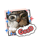 にゃんこスタンプ(日常会話？)（個別スタンプ：31）