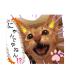 にゃんこスタンプ(日常会話？)（個別スタンプ：32）