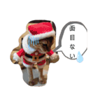 にゃんこスタンプ(日常会話？)（個別スタンプ：36）