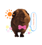 Funny-Family！！ 4（個別スタンプ：2）
