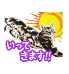 スコティッシュフォールドマックのスタンプ（個別スタンプ：14）