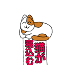 チャコちゃんの伝言板（個別スタンプ：22）