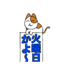 チャコちゃんの伝言板（個別スタンプ：24）