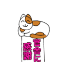 チャコちゃんの伝言板（個別スタンプ：35）