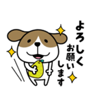 犬さん♡毎日便利（個別スタンプ：17）