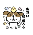 犬さん♡毎日便利（個別スタンプ：27）