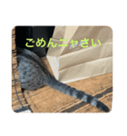 パコ太の日々（個別スタンプ：7）