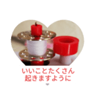 ボビン1（個別スタンプ：3）
