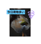 限界series（個別スタンプ：33）