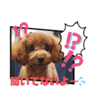 みるむぎここスタンプ（個別スタンプ：3）