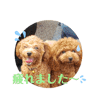 みるむぎここスタンプ（個別スタンプ：4）