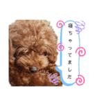 みるむぎここスタンプ（個別スタンプ：12）