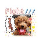 みるむぎここスタンプ（個別スタンプ：13）