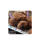 みるむぎここスタンプ（個別スタンプ：14）