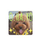 みるむぎここスタンプ（個別スタンプ：15）