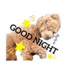 みるむぎここスタンプ（個別スタンプ：16）