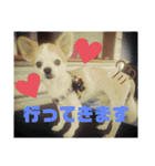 みるむぎここスタンプ（個別スタンプ：19）