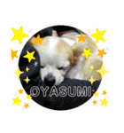 みるむぎここスタンプ（個別スタンプ：20）