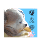 みるむぎここスタンプ（個別スタンプ：21）