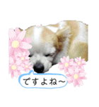 みるむぎここスタンプ（個別スタンプ：23）