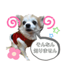 みるむぎここスタンプ（個別スタンプ：24）