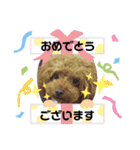 みるむぎここスタンプ（個別スタンプ：25）