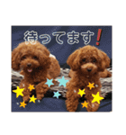 みるむぎここスタンプ（個別スタンプ：26）