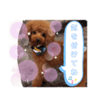 みるむぎここスタンプ（個別スタンプ：30）