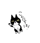 白黒模様の猫のハナちゃん（個別スタンプ：2）