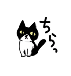 白黒模様の猫のハナちゃん（個別スタンプ：4）