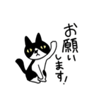 白黒模様の猫のハナちゃん（個別スタンプ：6）