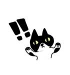 白黒模様の猫のハナちゃん（個別スタンプ：13）
