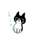白黒模様の猫のハナちゃん（個別スタンプ：15）