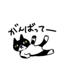 白黒模様の猫のハナちゃん（個別スタンプ：18）