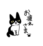 白黒模様の猫のハナちゃん（個別スタンプ：21）