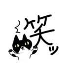 白黒模様の猫のハナちゃん（個別スタンプ：27）
