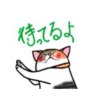 いぬ ときどき ねこ（個別スタンプ：16）