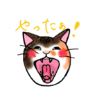 いぬ ときどき ねこ（個別スタンプ：29）