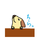 いぬ ときどき ねこ（個別スタンプ：40）