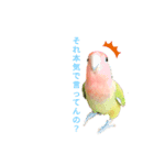 よもぎさんすたんぷ（個別スタンプ：3）