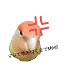 よもぎさんすたんぷ（個別スタンプ：4）