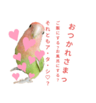 よもぎさんすたんぷ（個別スタンプ：8）