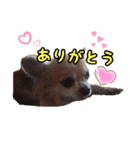 チャッピー＆エリザベス（個別スタンプ：2）