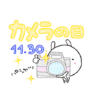 11月        今日は何の日？（個別スタンプ：32）