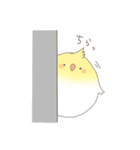 まーるいインコ（個別スタンプ：12）