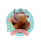 可愛いねこクーザ＆ルタにゃん（個別スタンプ：7）