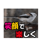 シマエナガ★毎日ハッピー（個別スタンプ：4）
