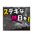 シマエナガ★毎日ハッピー（個別スタンプ：10）