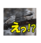 シマエナガ★毎日ハッピー（個別スタンプ：18）