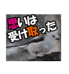 シマエナガ★毎日ハッピー（個別スタンプ：29）